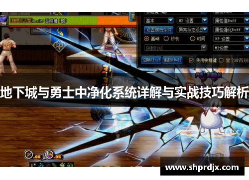 地下城与勇士中净化系统详解与实战技巧解析